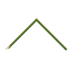 Green Bevel Picture Frame