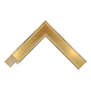 Gold and Black Flat Picture Frame