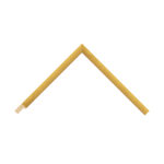 Windsor Gold Leaf Box Picture Frame