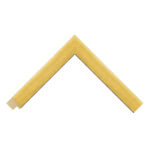 Gold Bevel Picture Frame