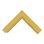 Gold Bevel Picture Frame