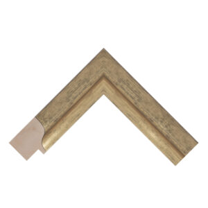 Navona Gold Scoop Picture Frame