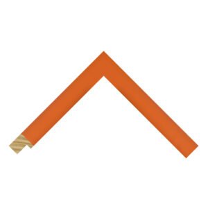 Orange picture frames