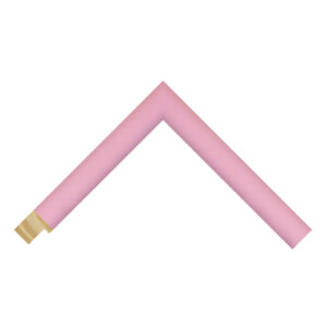 Pink picture frames