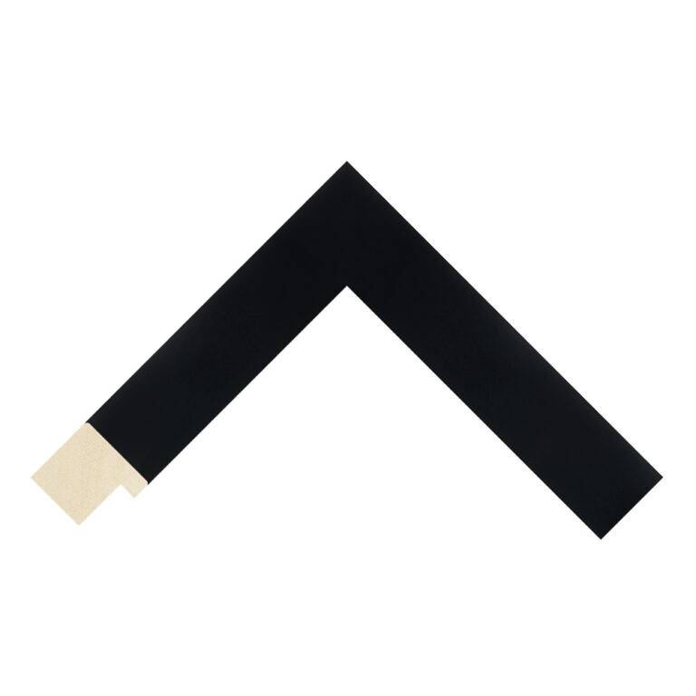 Black Closed-Grain Flat Picture Frame